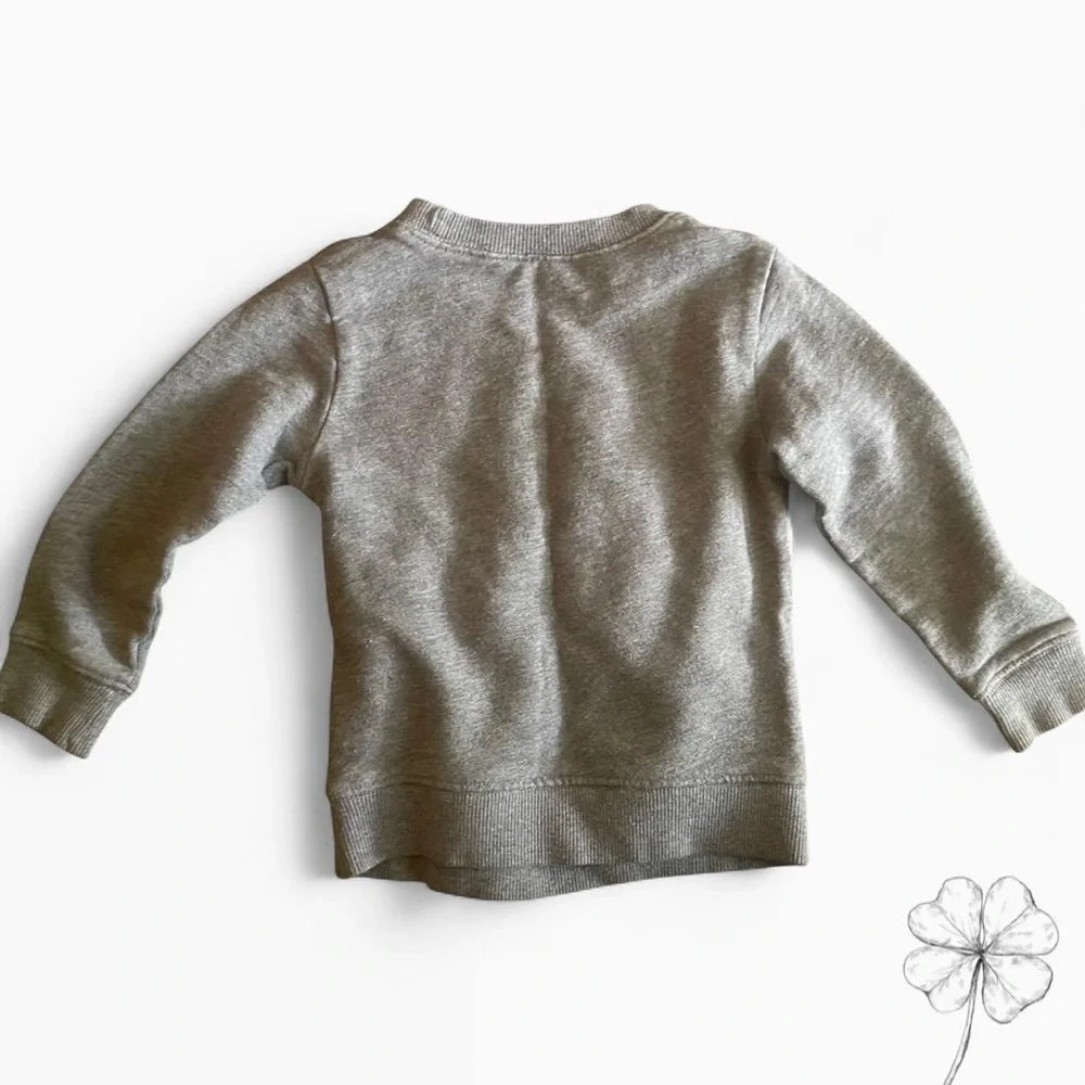 Carter's Gray Sweatshirt with Green Dinosaur Design